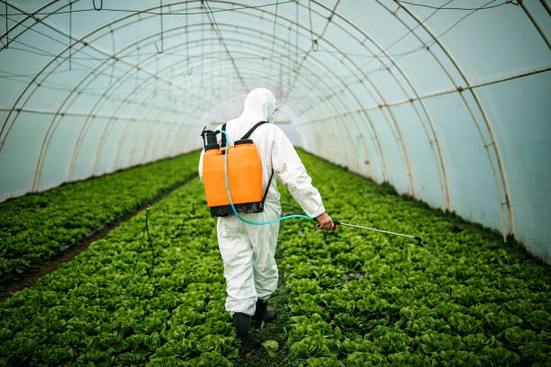 Best Pest Prevention Services  in Rome, IL