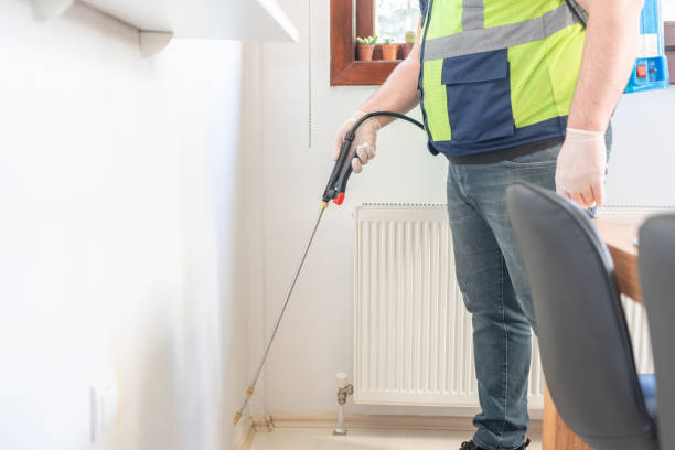 Best Flea Control Services  in Rome, IL