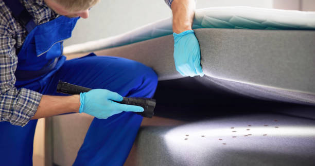 Best Mosquito Control Services  in Rome, IL