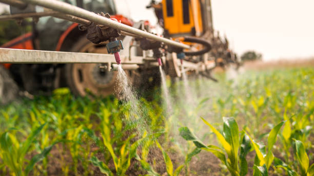 Best Pest Control Cost  in Rome, IL